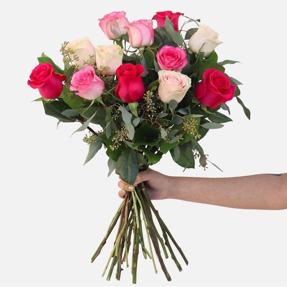 Meet your Posher, Ana - Picture 2 of 7